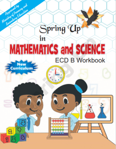 Mathematics And Science Work Book ECD B - Spring Hub Publishing